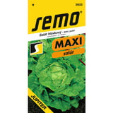 salat-jupiter-letny-maxi-semo-3833-1421c88b-560d-49d0-8089-82a12861638f.jpg