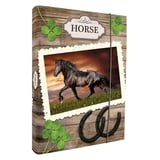 box-na-zosity-wild-horse-31845349-b12c-4c41-8cdc-310fa944d5a5.webp