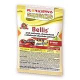 bellis-7e41d212-9923-4dc1-b029-dcb28957f6f9.jpg