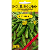 uhorky-nakl-regina-f1-h-25g-holman-a4eca0b9-654b-42e7-9cb6-dddde180a584.jpg
