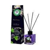 miss-life-osviezovac-vzduchu-tycinkovy-100ml-blackberry-a576467d-5710-4471-842f-5d9516e76ae8.webp