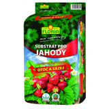 substrat-na-jahody-otoc-a-sad-40l-floria-abb6c455-ba6a-4c79-8a59-8ab7b3f5a093.jpg
