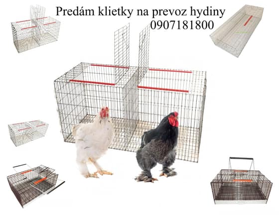 vystavne-klietky--hydina-holub-kraliky--2dielne-3dielne-4dielne-5dielne-skladacie-132fa4ef-a113-4197-81a9-ab0ce5a85c2f.jpg