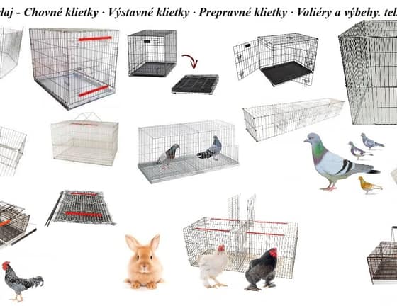 vystavne-klietky--hydina-holub-kraliky--2dielne-3dielne-4dielne-5dielne-skladacie-fa8da002-0359-477a-9dbe-2a7c5cd545b4.jpg