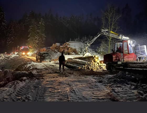 sluzby-v-lesnictve-8efe5a0b-9c82-46b8-b062-eb4264858f64.jpg