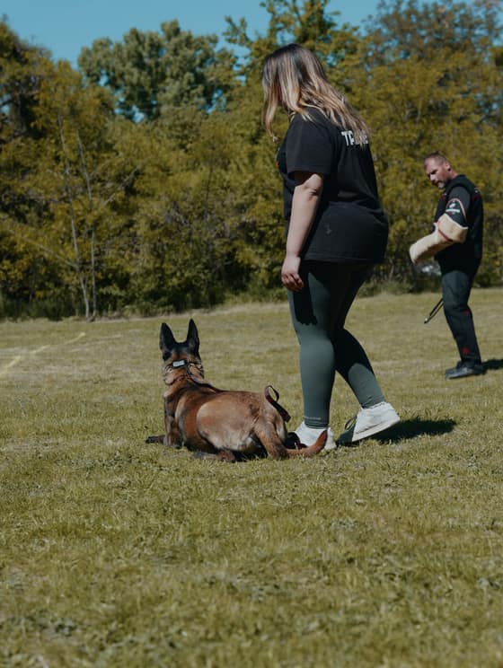 Deň  v happy paw´s