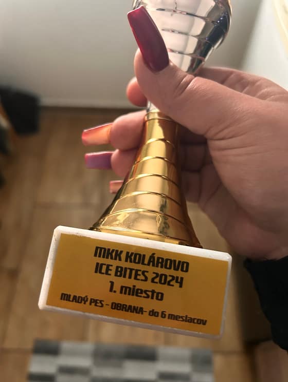 Naše úspechy ❤️
