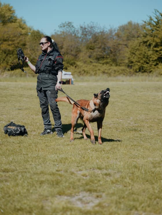 Deň  v happy paw´s