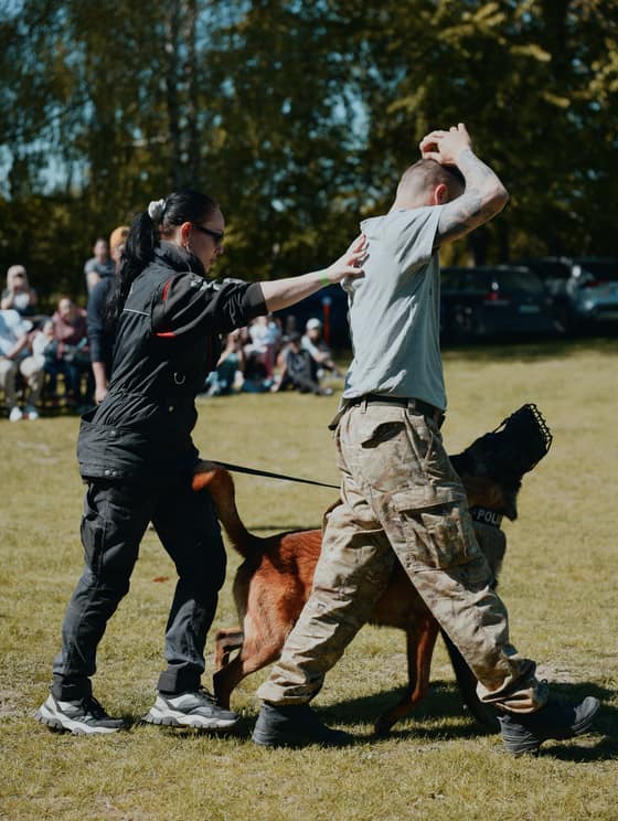 Deň  v happy paw´s