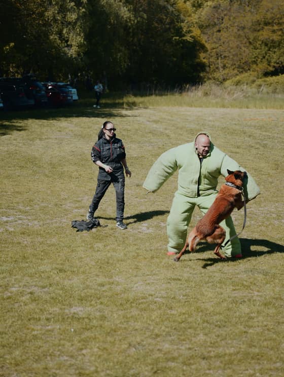 Deň  v happy paw´s