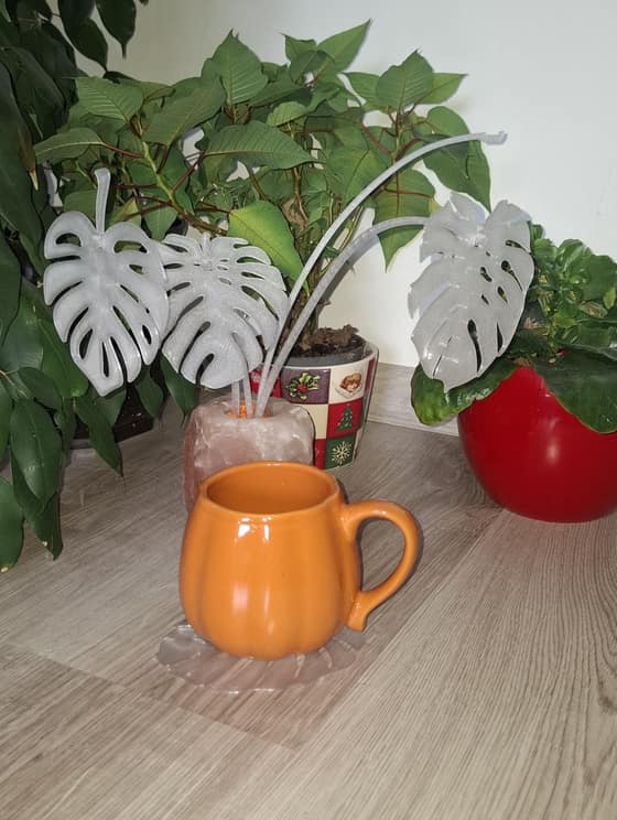 Podložka Monstera