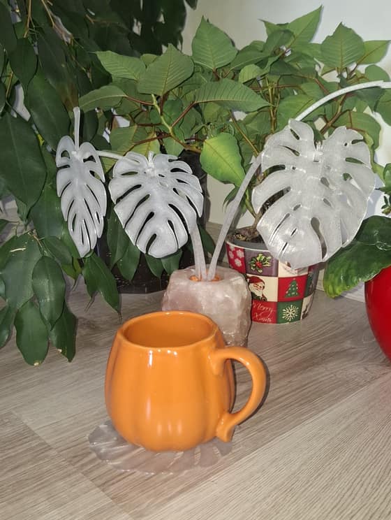Podložka Monstera