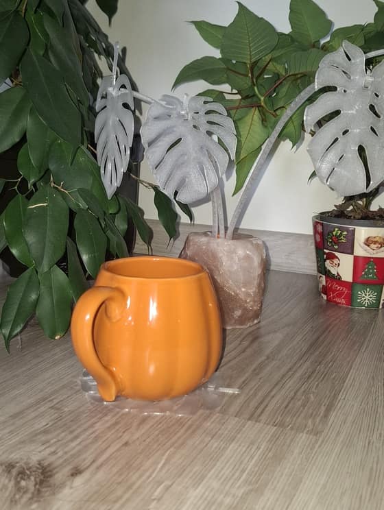 Podložka Monstera