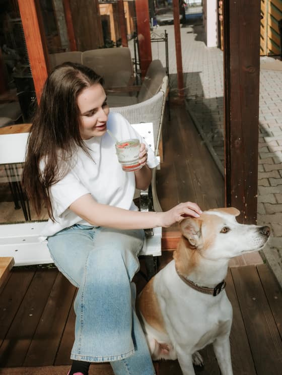 100-dog-friendly-2631f156-9ae9-4f40-b744-5c997996fcfc.jpg