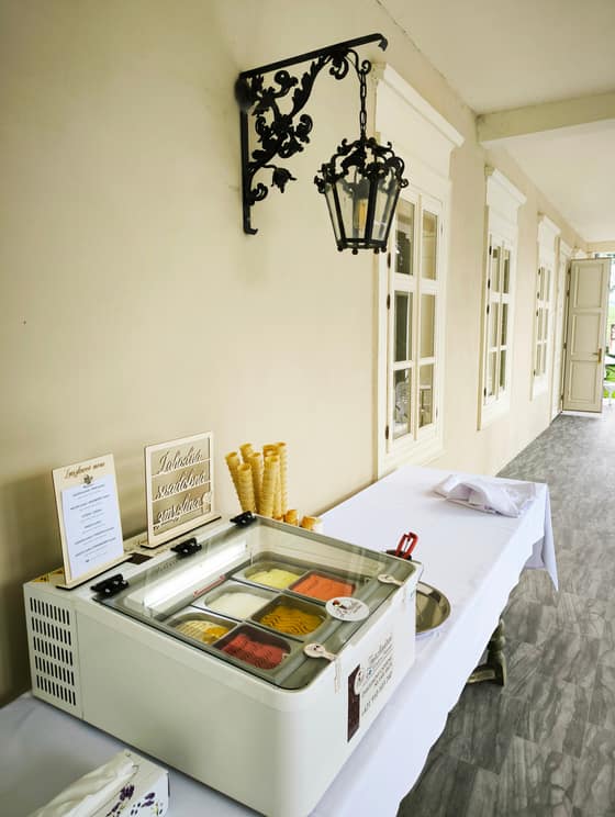 zmrzlinovy-catering-na-svadbu-ci-oslavu-d951fcf9-864b-43e4-954d-d34c1a3dd554.jpg