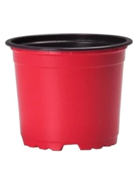 Kvetináč na priesady 90x68mm-2211b3ed-42eb-4894-9f1c-db907fdc791f.webp