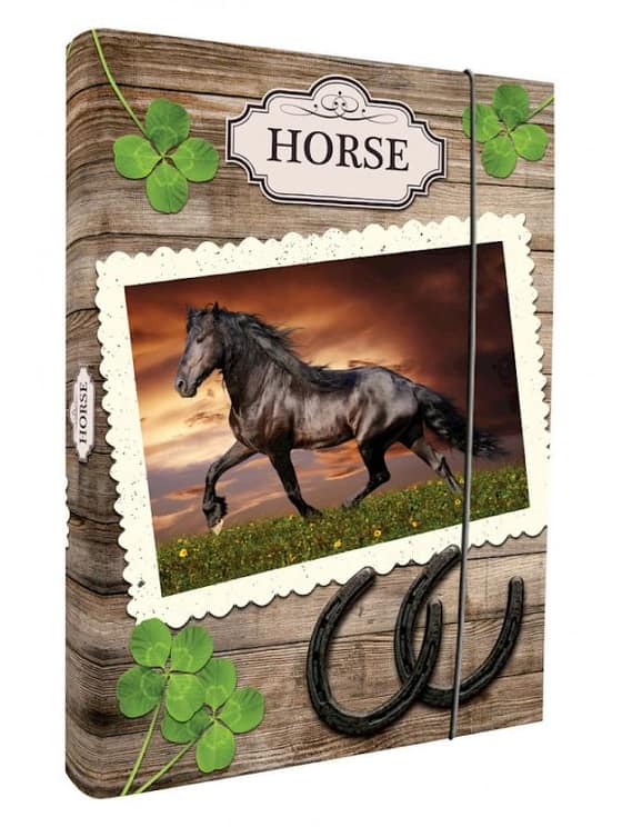 Box na zošity  WILD HORSE-31845349-b12c-4c41-8cdc-310fa944d5a5.webp
