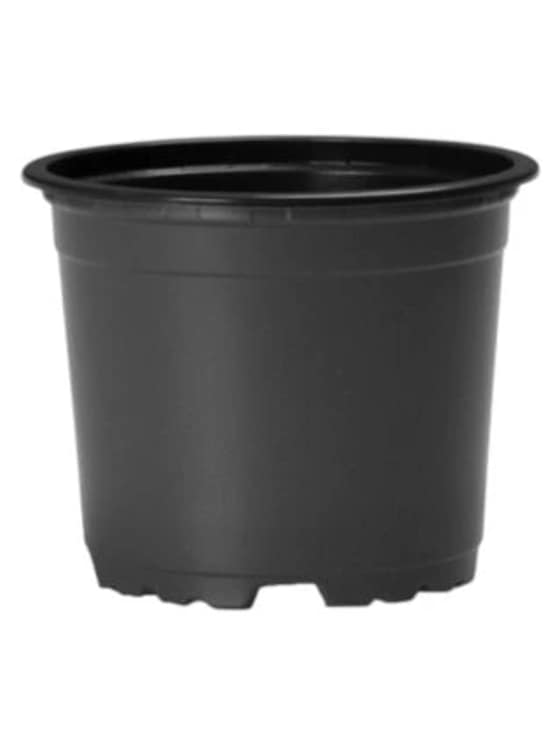 Kvetináč na priesady 90x68mm-4438d452-68ca-4df9-850f-2a7d747bb3f8.webp