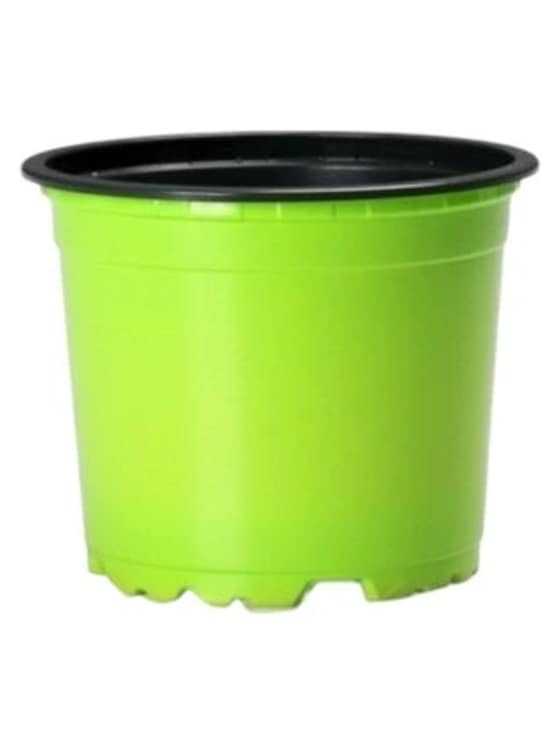 Kvetináč na priesady 90x68mm-467c38de-ddbf-440e-8d29-d318c57c7d1d.webp