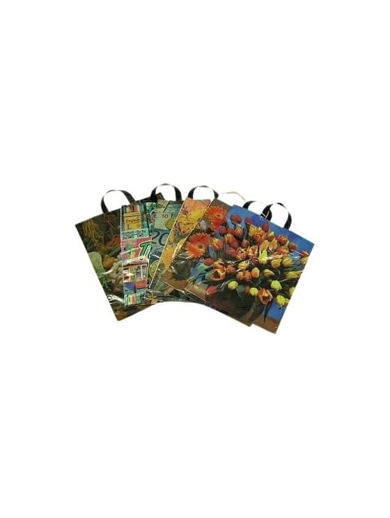 Taška PVC 450 x 480 cm vzorovaná-4b42e2ba-abfb-41eb-9b86-71514d5de555.webp