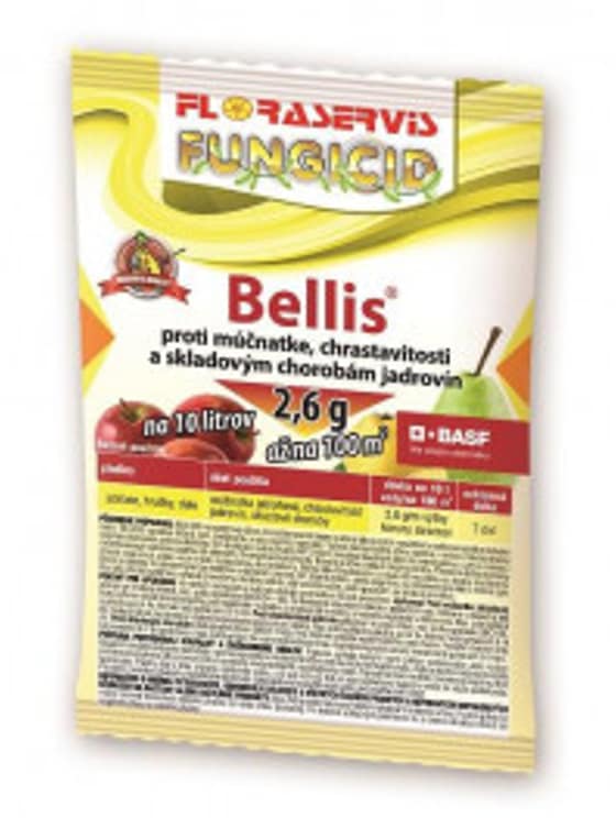 Bellis-7e41d212-9923-4dc1-b029-dcb28957f6f9.jpg