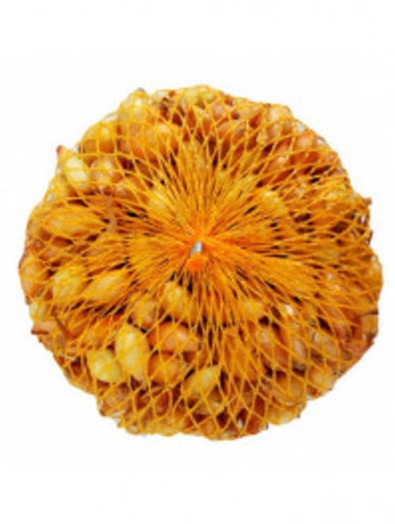 Cibuľa sadz. Všetana  16-21 mm-8cd1de23-3e8c-4b37-8704-5803748f8333.jpg