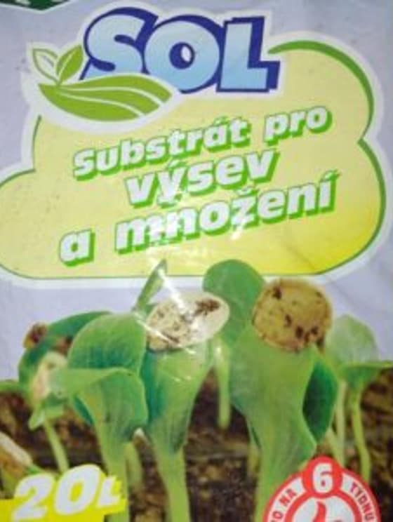 Substrát pre výsev a množenie 20 l hnojivo na 6 týždňov-e15409ab-7351-470c-a2ed-ef6e9bc26a06.jpg