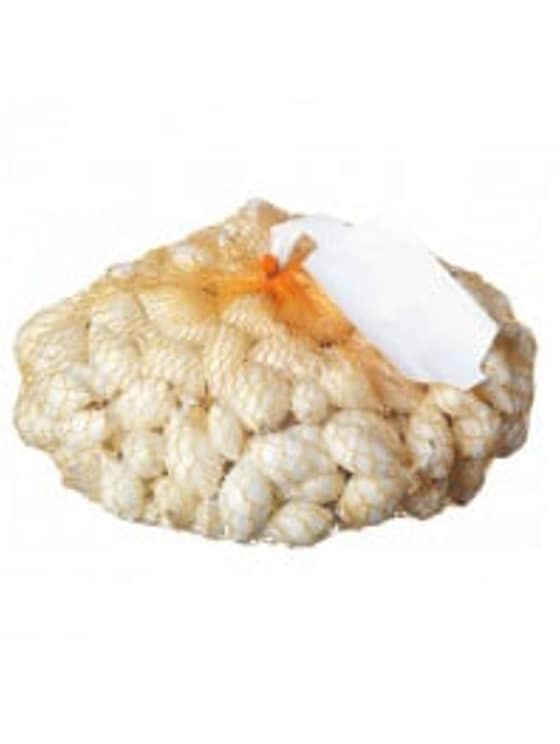 Cibuľa sadz. biela 250g 16-21mm Snowball-e4d051b0-321c-4dc9-8659-0eb95370d1b4.jpg