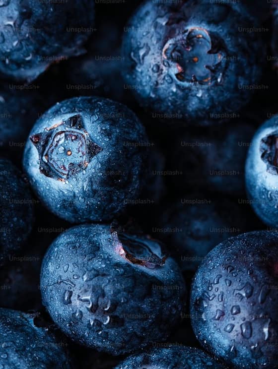 Pastovaný med s čučoriedkami-0521d00d-f8d8-46ba-b25b-bd7a51d5312e.jpg