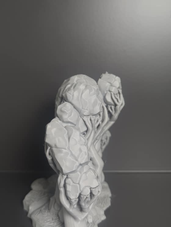 Printed Showcase