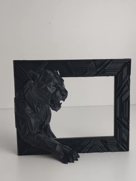 Printed Showcase