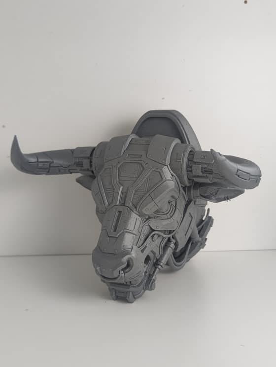 Printed Showcase