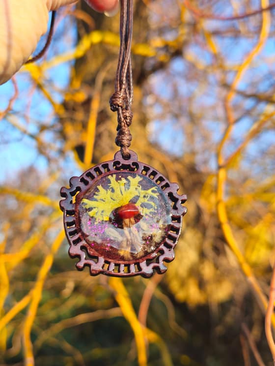 Strom Života-544be249-b6ca-4a59-a565-ccbcd4023068.jpg