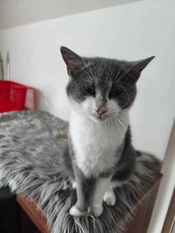 meggie-a220b970-dc25-4205-88d7-3085bbf42087.jpg