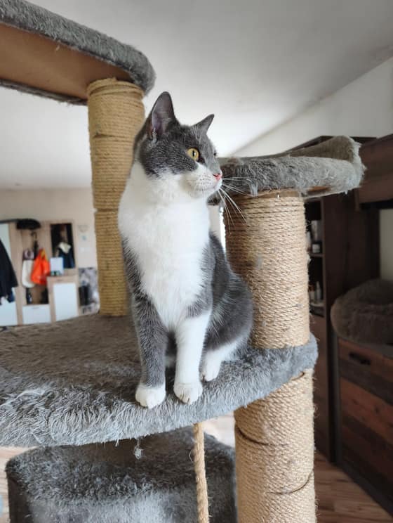 meggie-a32bb99c-78d7-4345-82ba-d5ac07c94b6e.jpg