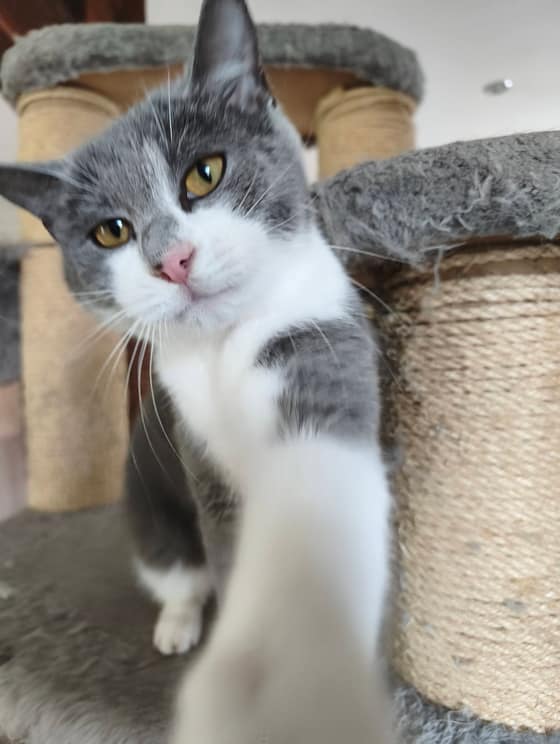 meggie-b93c9212-75b5-4572-87ff-ab5427ab66e5.jpg