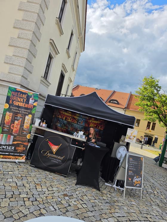 festivaly-3bdd3d82-0039-4d51-97b6-f0c7f539fe66.jpg