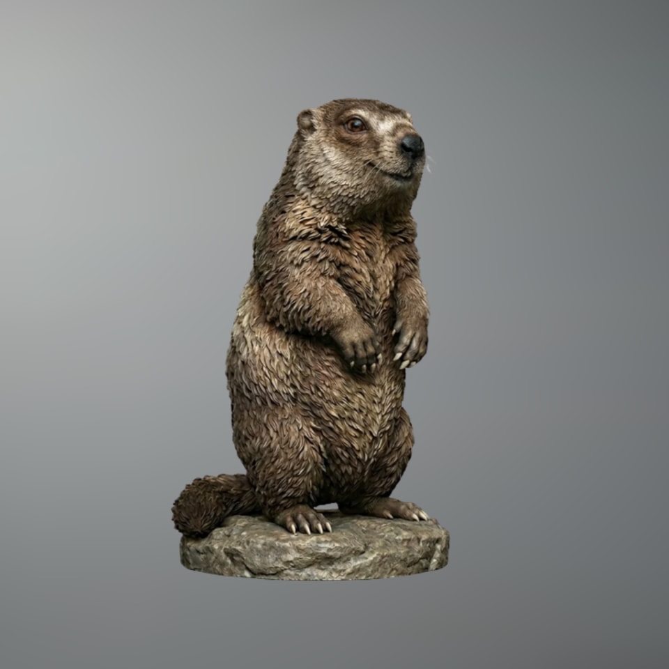 Svišť Multi-Scale 3D Printable Animal STL (Tabletop to Life-Size)